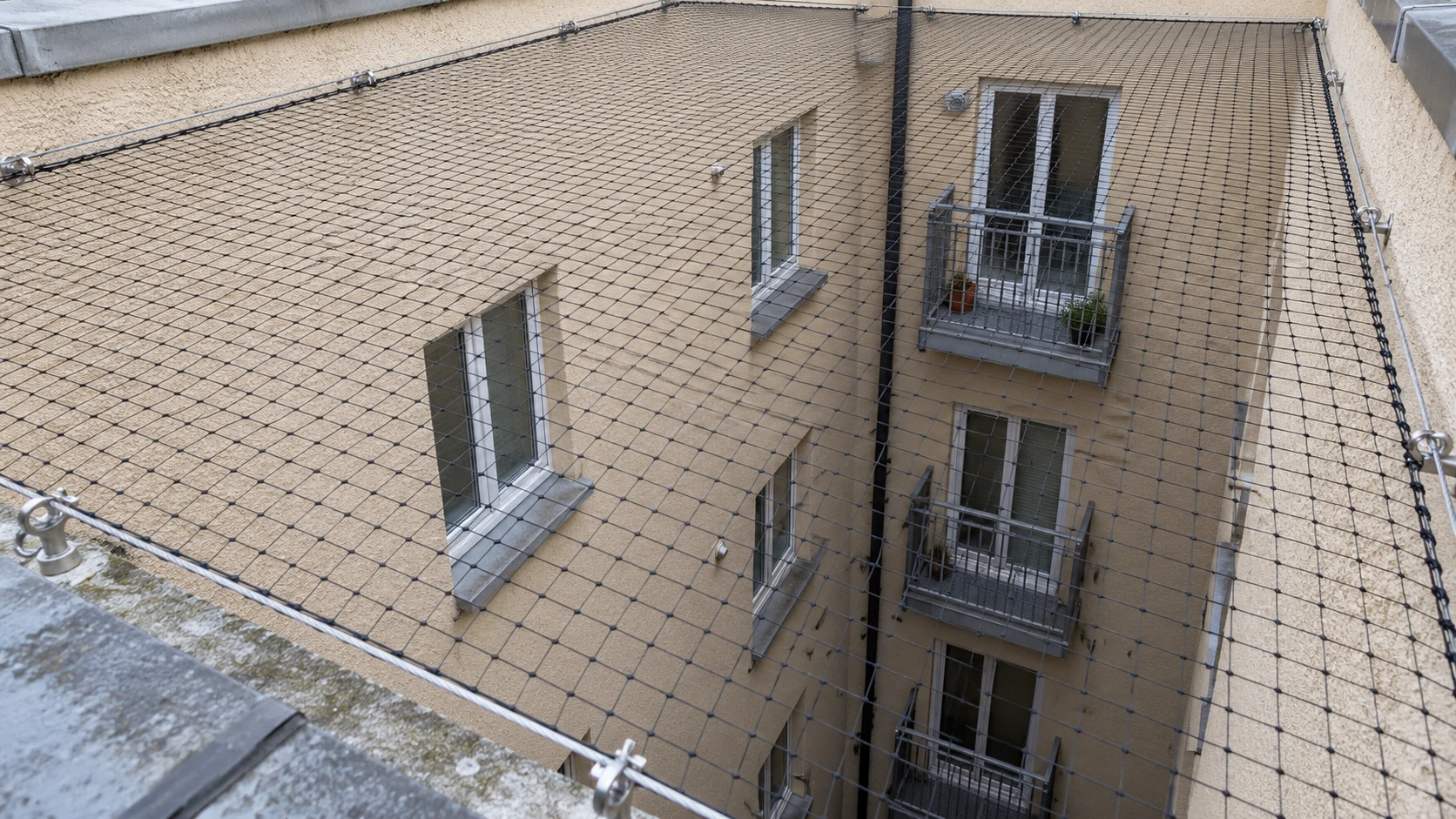 Sistemas antiaves en fachadas y patios · imagen de contenido